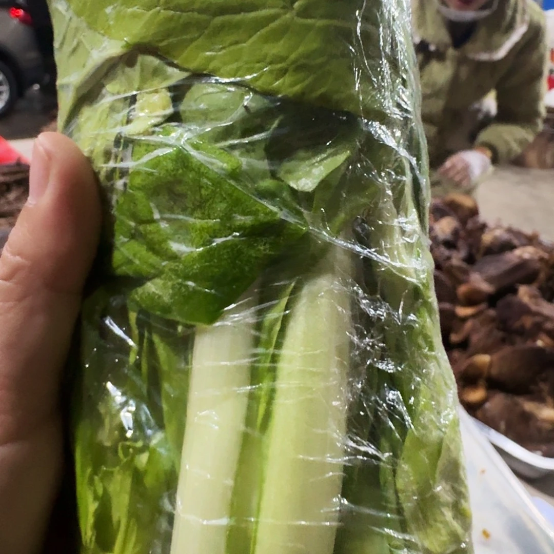 木***洋白菜中国大陆青菜