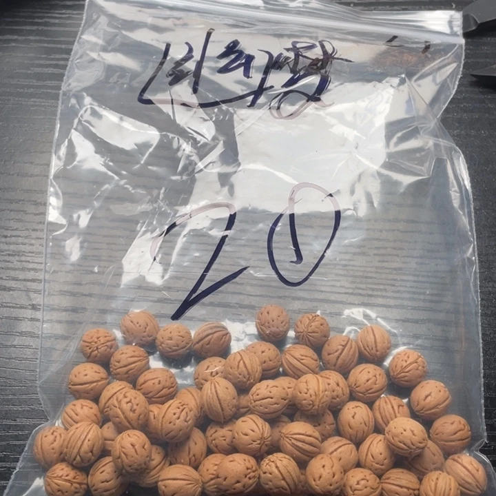 幽***乡小桃核散籽批发20