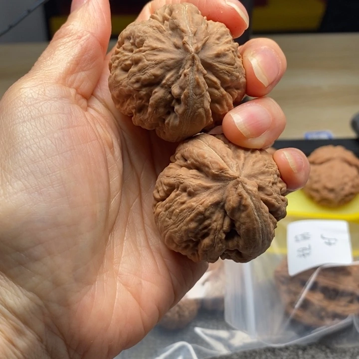 吊坠文玩核桃霸王龙