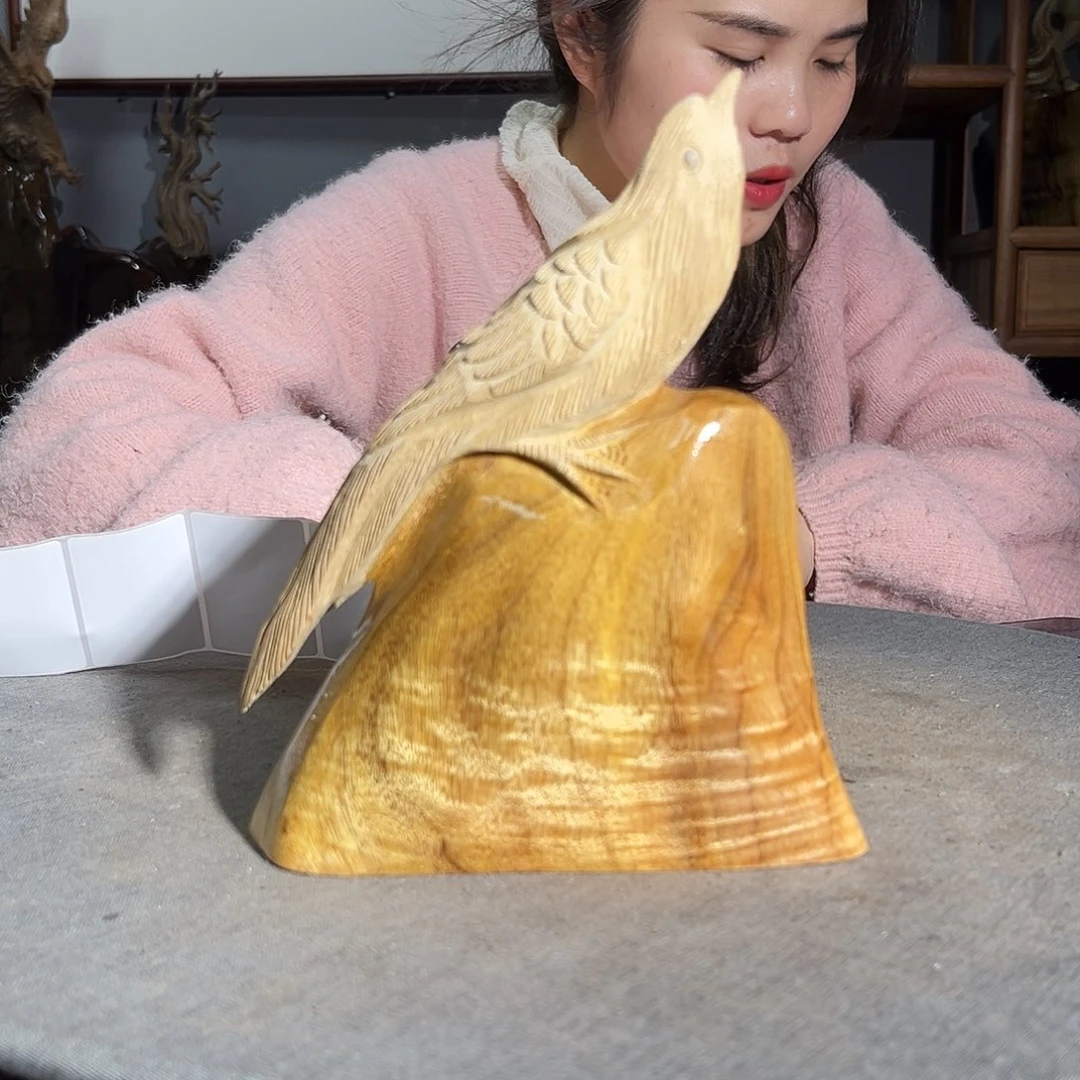 金丝楠大***鸟一物一图37694989497