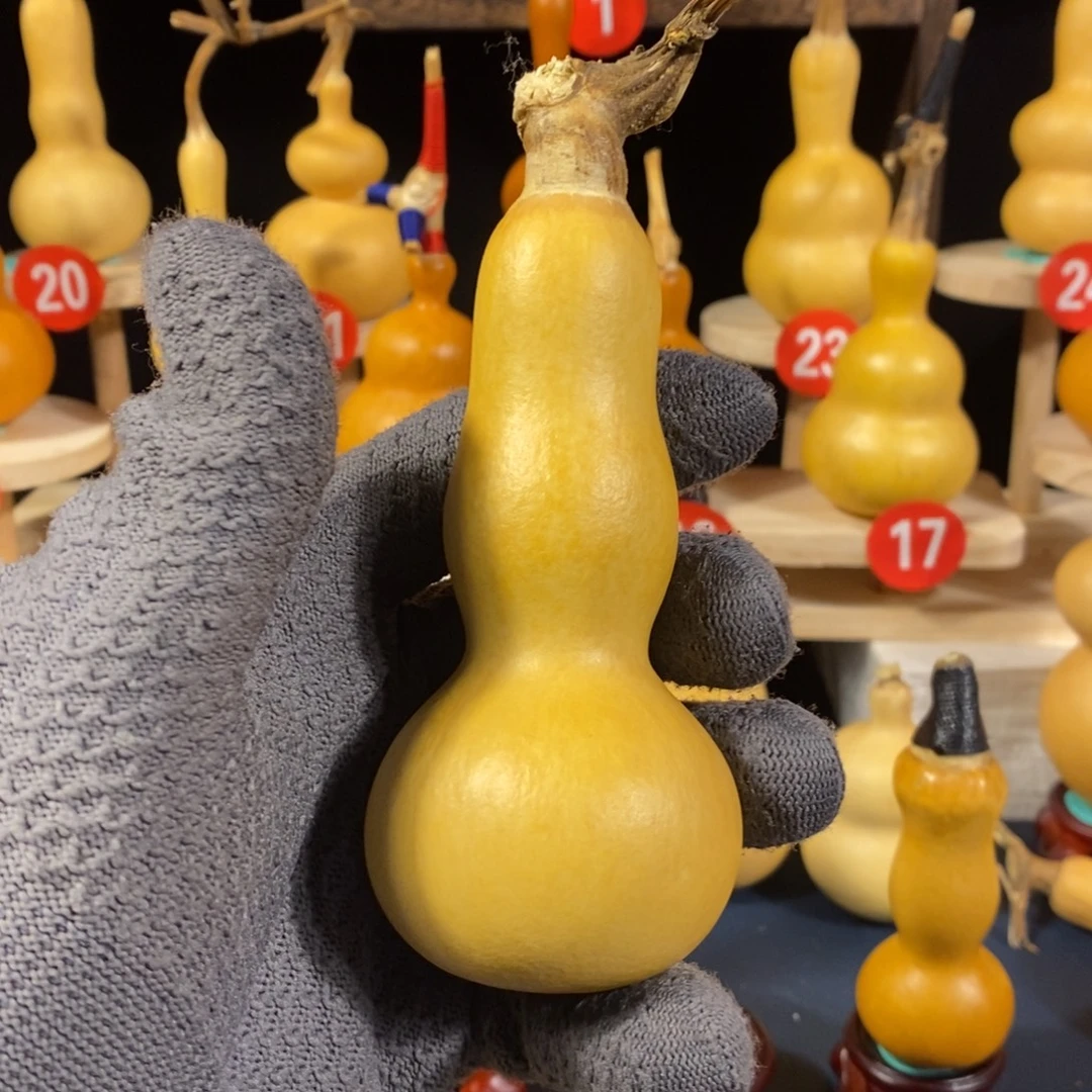 独***舟精品葫芦精品葫芦