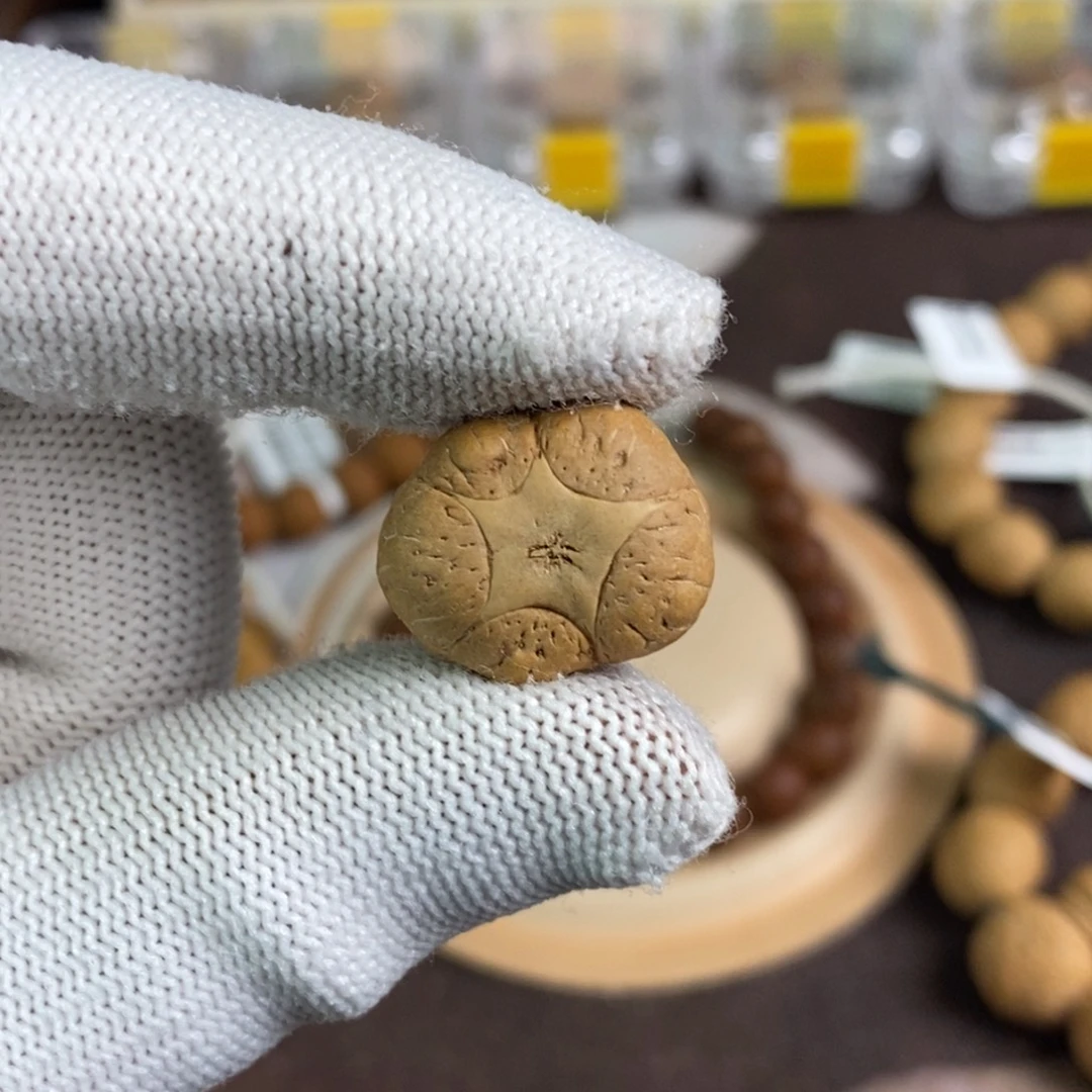 吊坠凤眼菩提20五星单颗