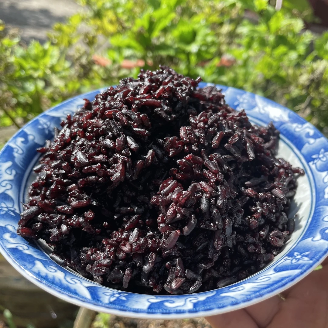 云南哈尼梯田巨香紫香米