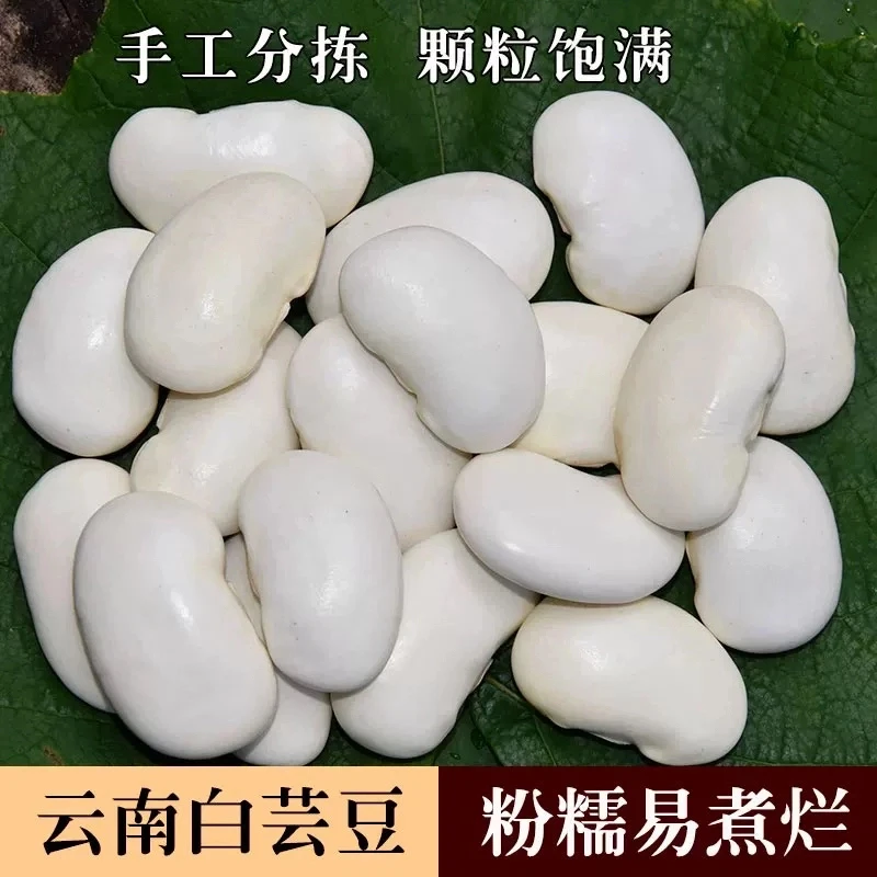 白芸豆农家自种雪豆五谷杂粮营养丰富一斤装500g干货