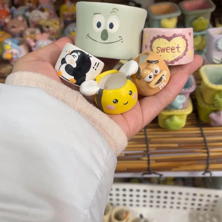 小玉米的多肉花盆