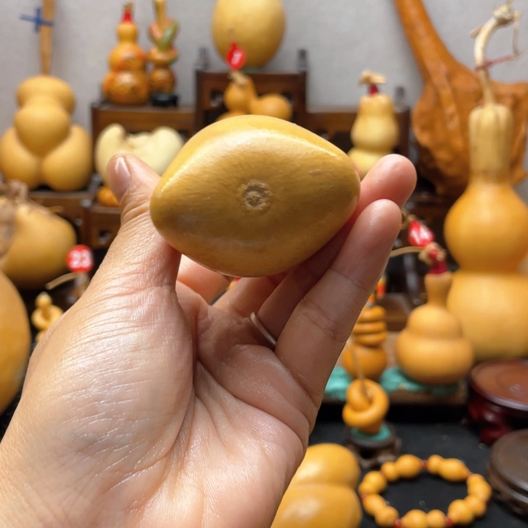 土**哇大自然的秘密是什么呢