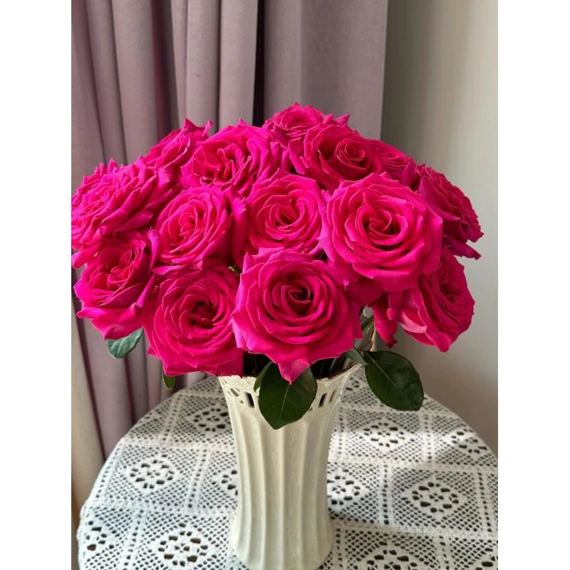 《姗姗》弗洛伊德香槟玫瑰组合 基地直发【同地址两单京东或顺丰】