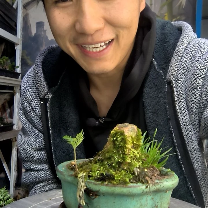 白**花中青园艺一物一拍270