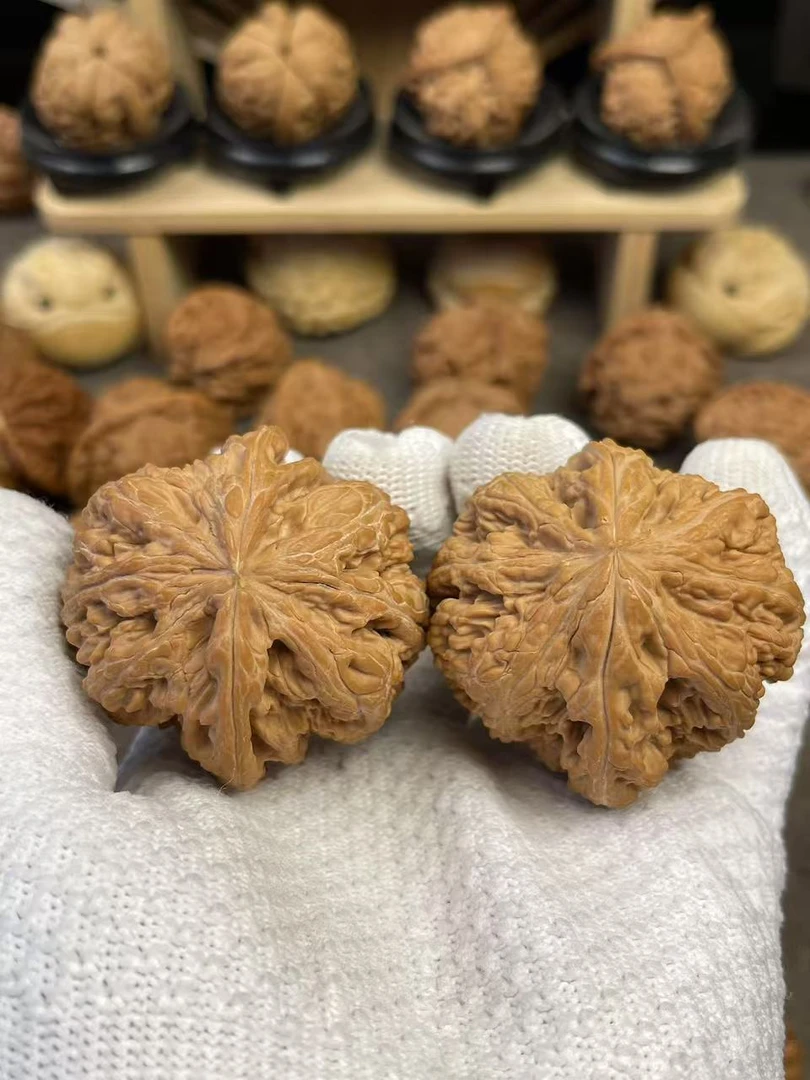 48.5全品精配八筋聚顶大米字顶大粗筋文玩核桃精品核桃