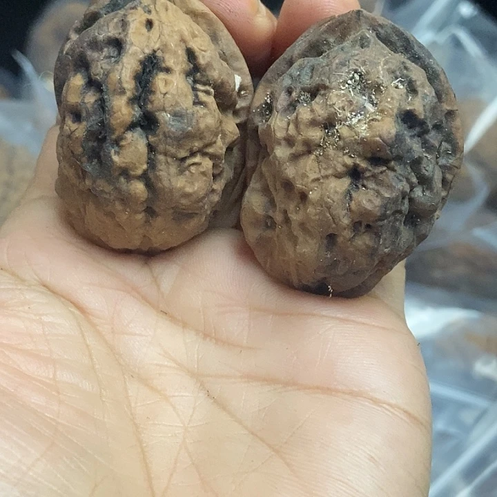 文玩核桃把件云南铁核桃基地76