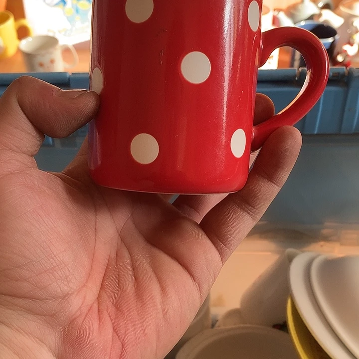 金***猫啊啊啊啊啊啊啊啊啊啊绿泥