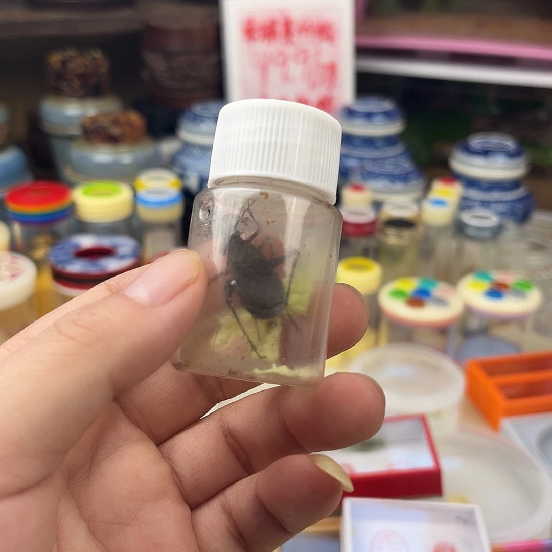 一条全品麒麟拍拍拍