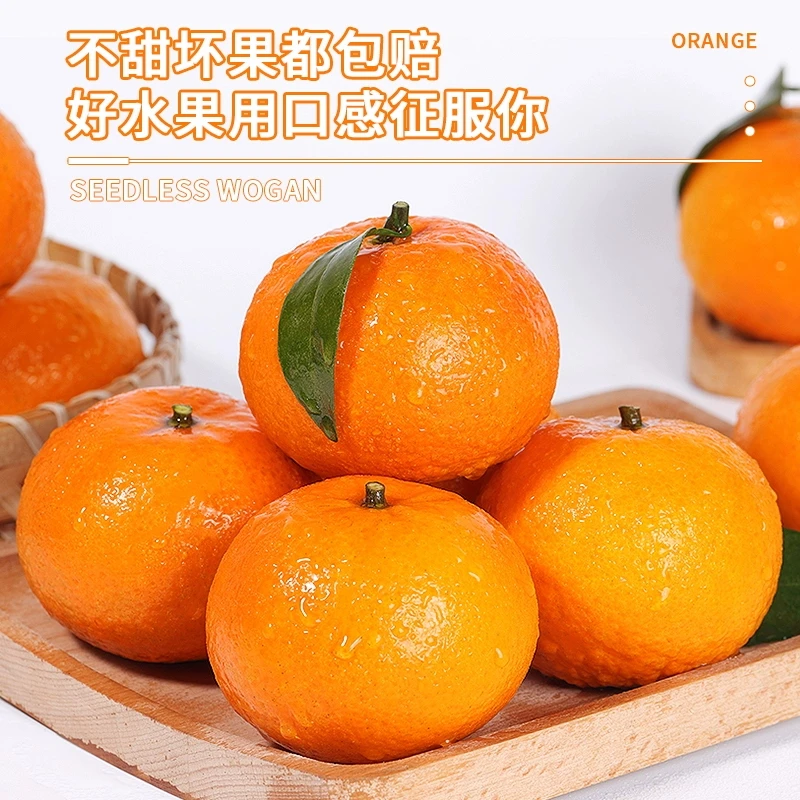 正宗广西武鸣沃柑水果脆甜多汁新鲜采摘皮薄肉厚