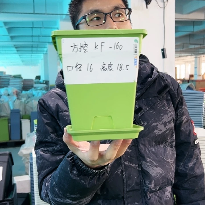 正品方盆口16高18果绿带托5只