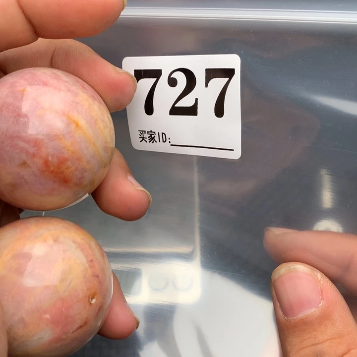 大果紫檀（缅甸花梨）