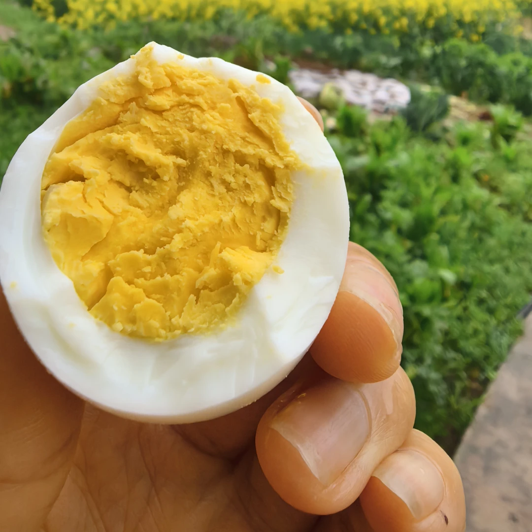 LANKANGYUAN/蓝康源蓝康源高山散养土鸡蛋乌鸡蛋绿壳蛋健康营养