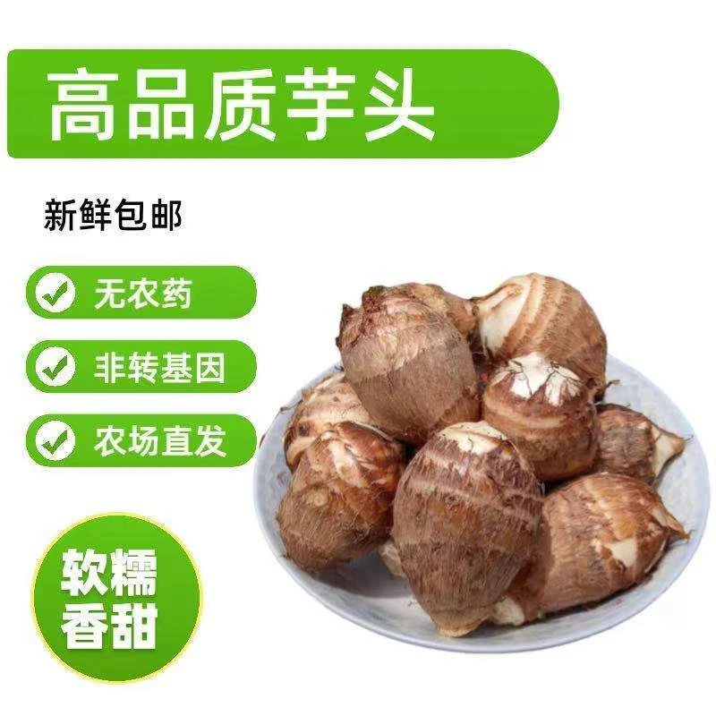 贵州新鲜应季牛奶小芋头毛芋头芋艿香芋香甜软糯农家自种