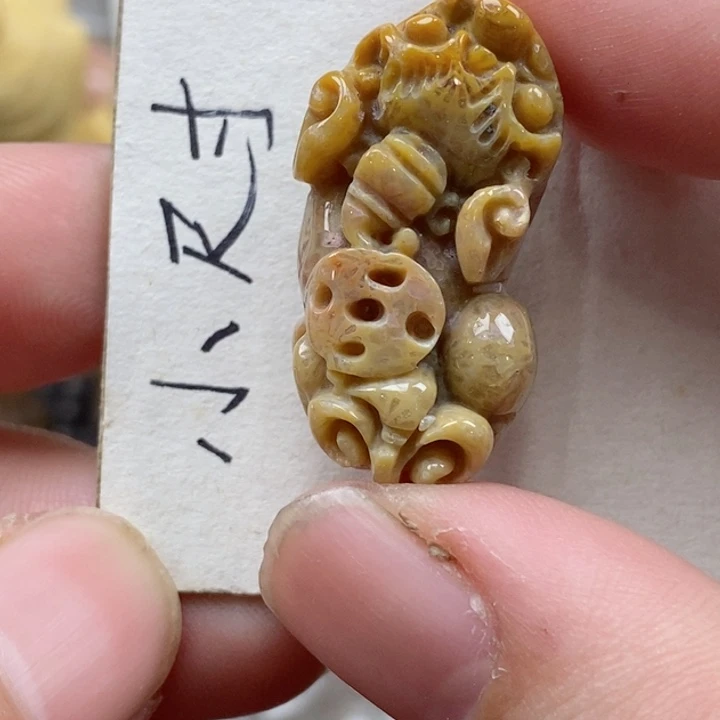 颈饰未镶嵌硅化珊瑚（珊瑚玉）