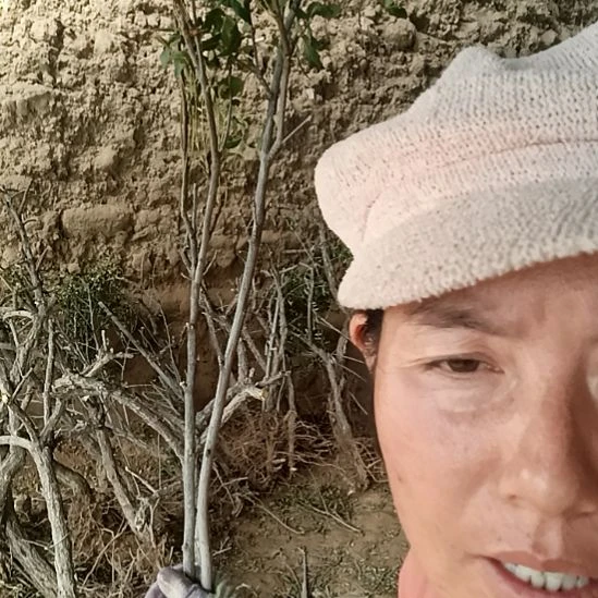 卢***美完全开放文冠树两颗