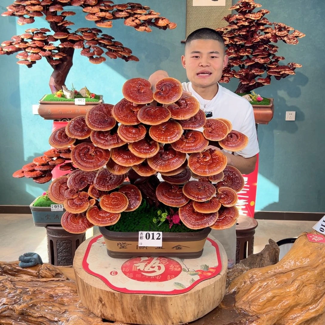 无花朵88999999999