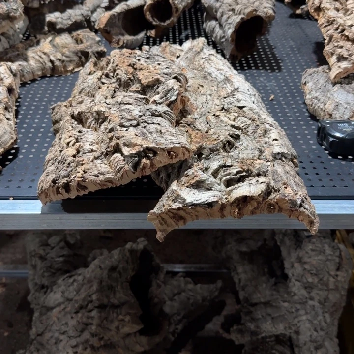 雪***梨完全开放一物一拍一物一发