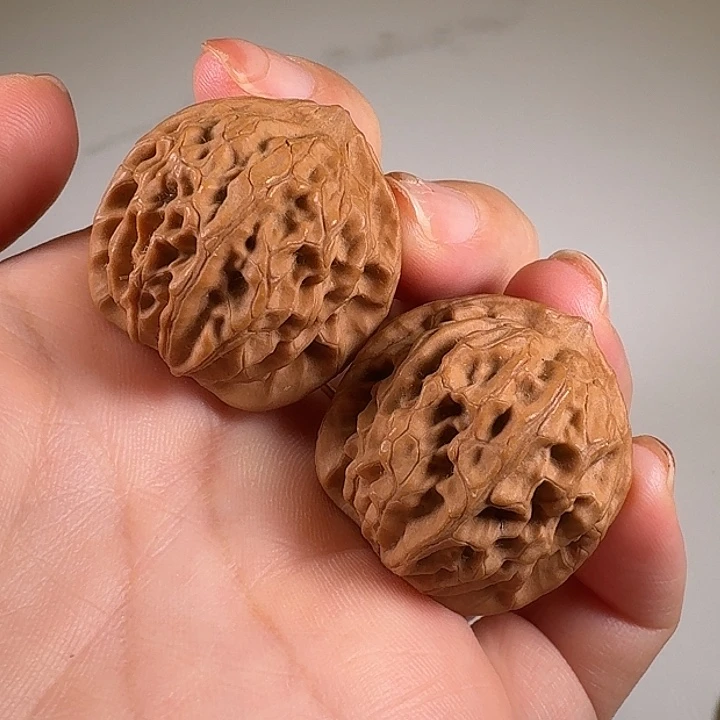 文玩核桃把件野生原树龙爪元宝货头 肚31