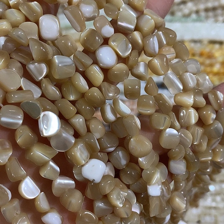 一条咖色马蹄螺随形