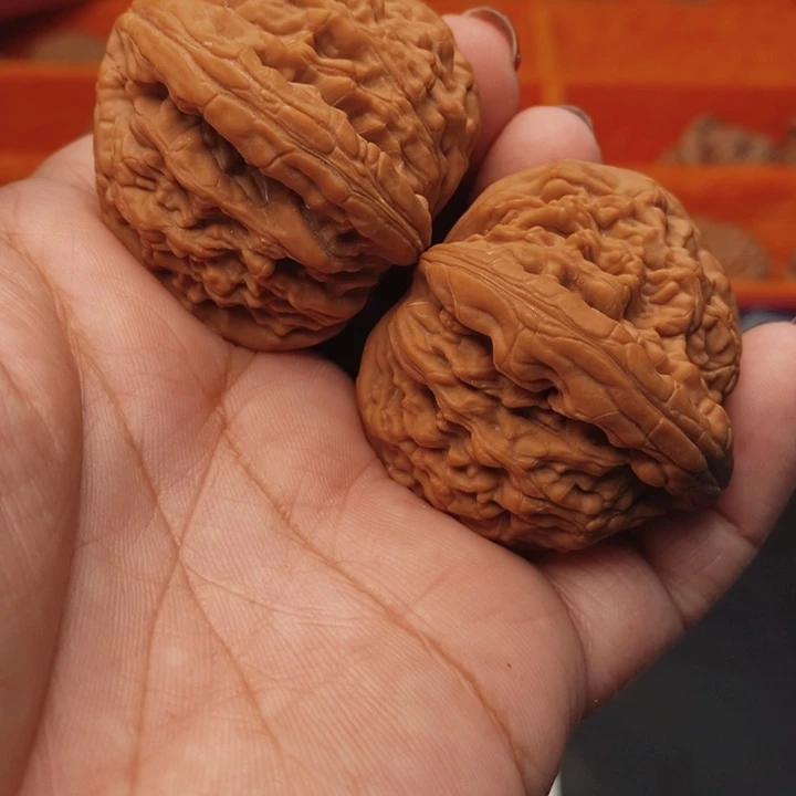 核桃虎头王44尺核桃