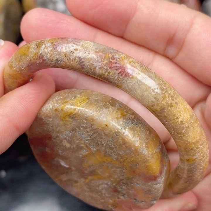 硅化玉未镶嵌颈饰57.5