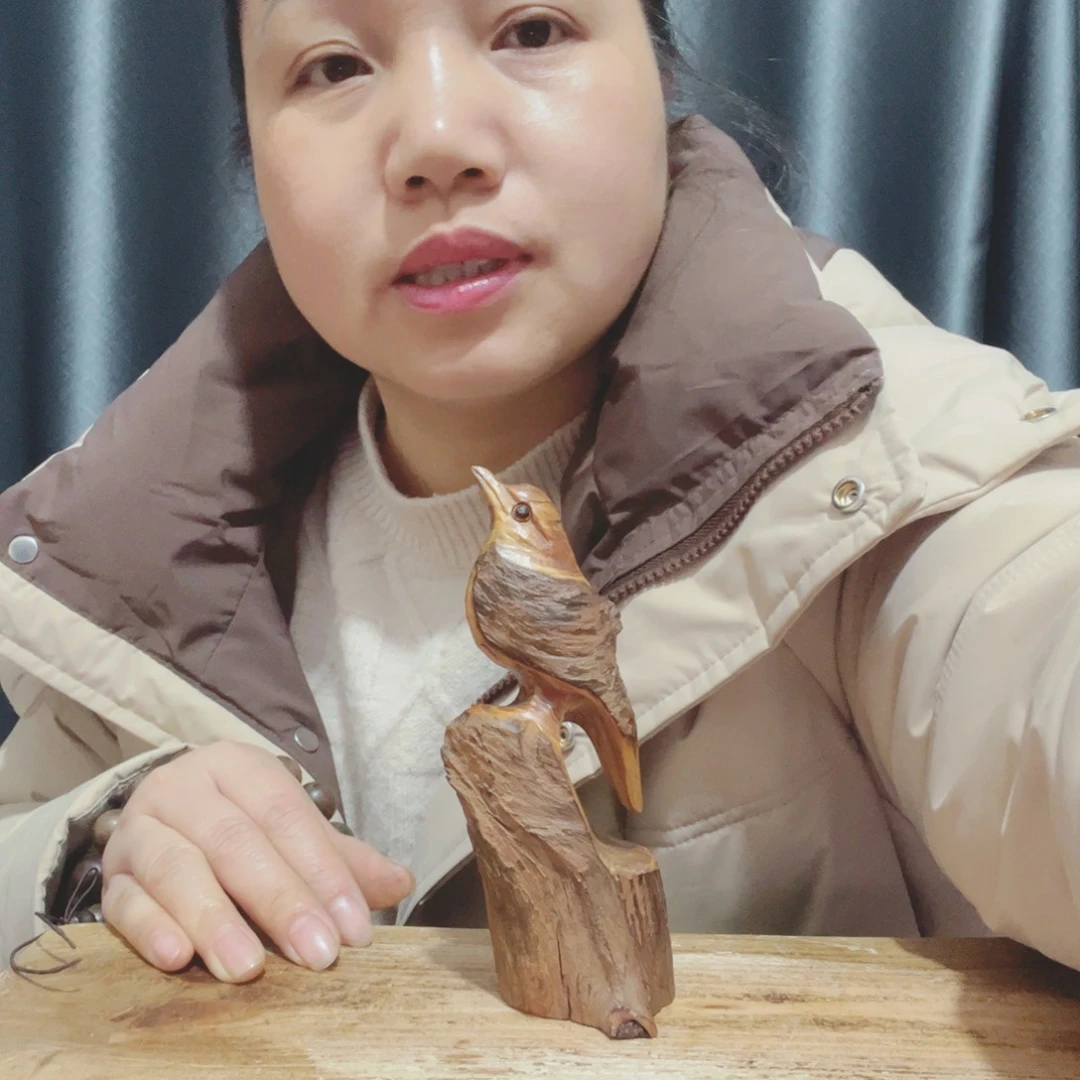 雨**夜百年树的生长环境