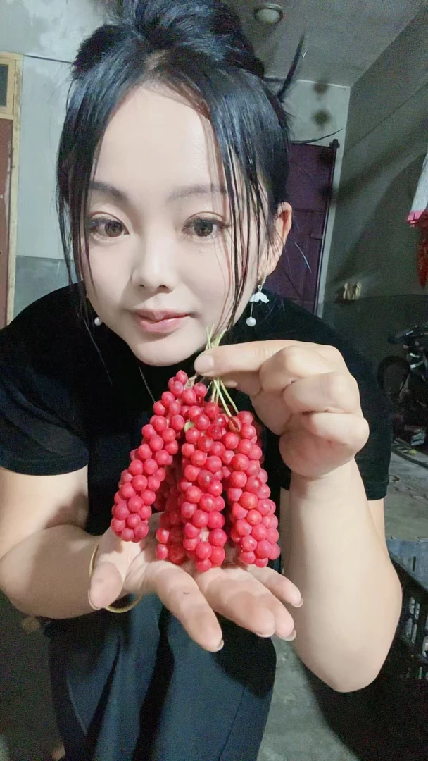 深山新鲜现摘纯野生五味子应季水果