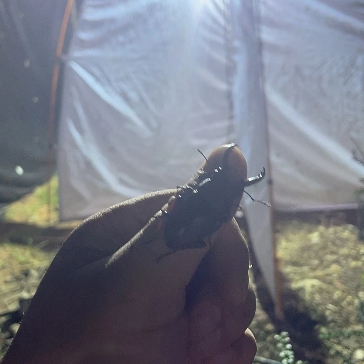 更好吃v好棒棒比较好吧