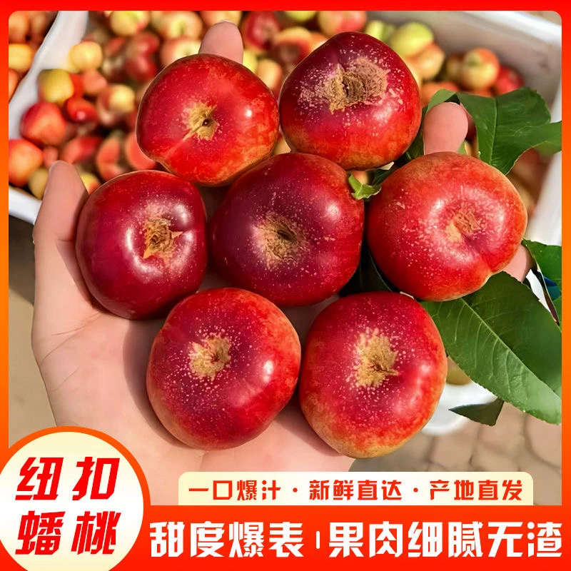 山东沂蒙山纽扣小油蟠桃3斤装