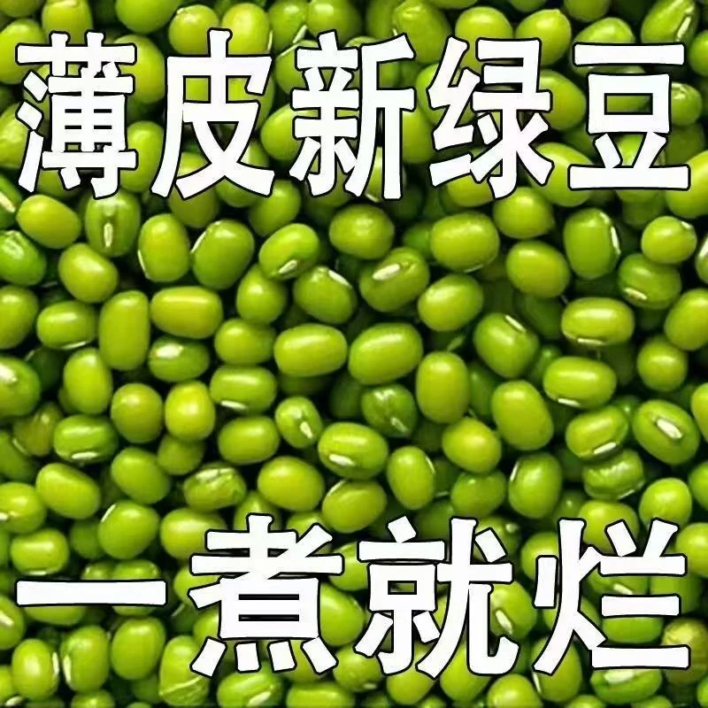 沂蒙山明绿豆大粒明绿豆当季新明绿豆新绿豆