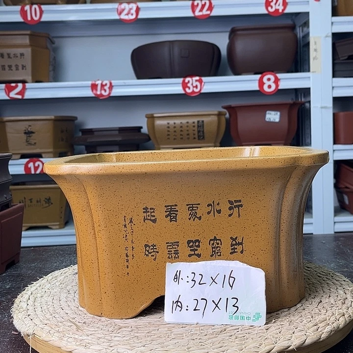 花盆紫砂你在一起