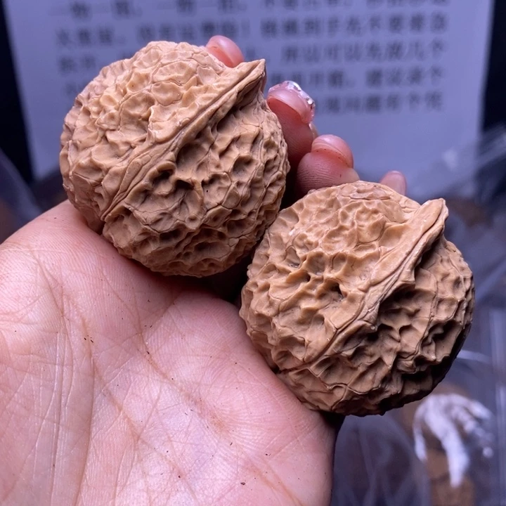 核桃云南野生铁核桃142号40mm