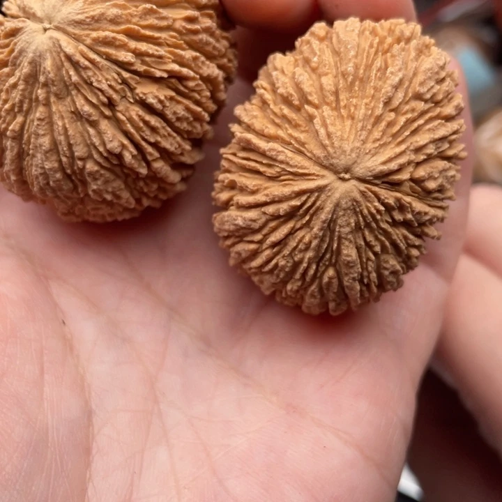 文玩核桃吊坠核桃