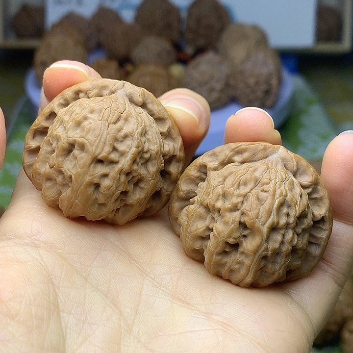 文玩核桃把件白狮子38+
