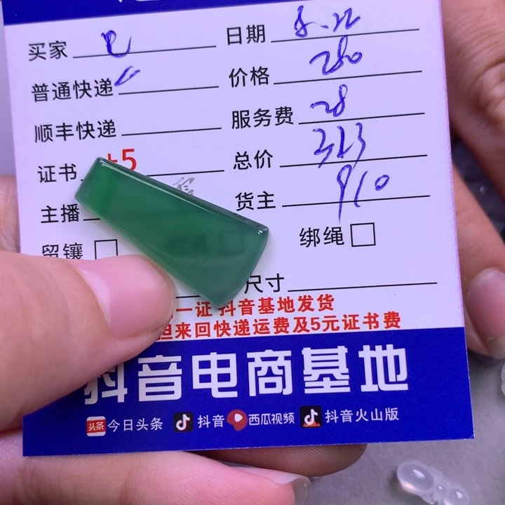 颈饰未镶嵌翡翠电****家