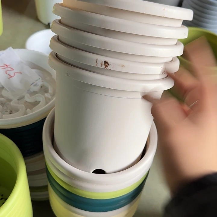 瑕疵3#口径21灰白10个无托