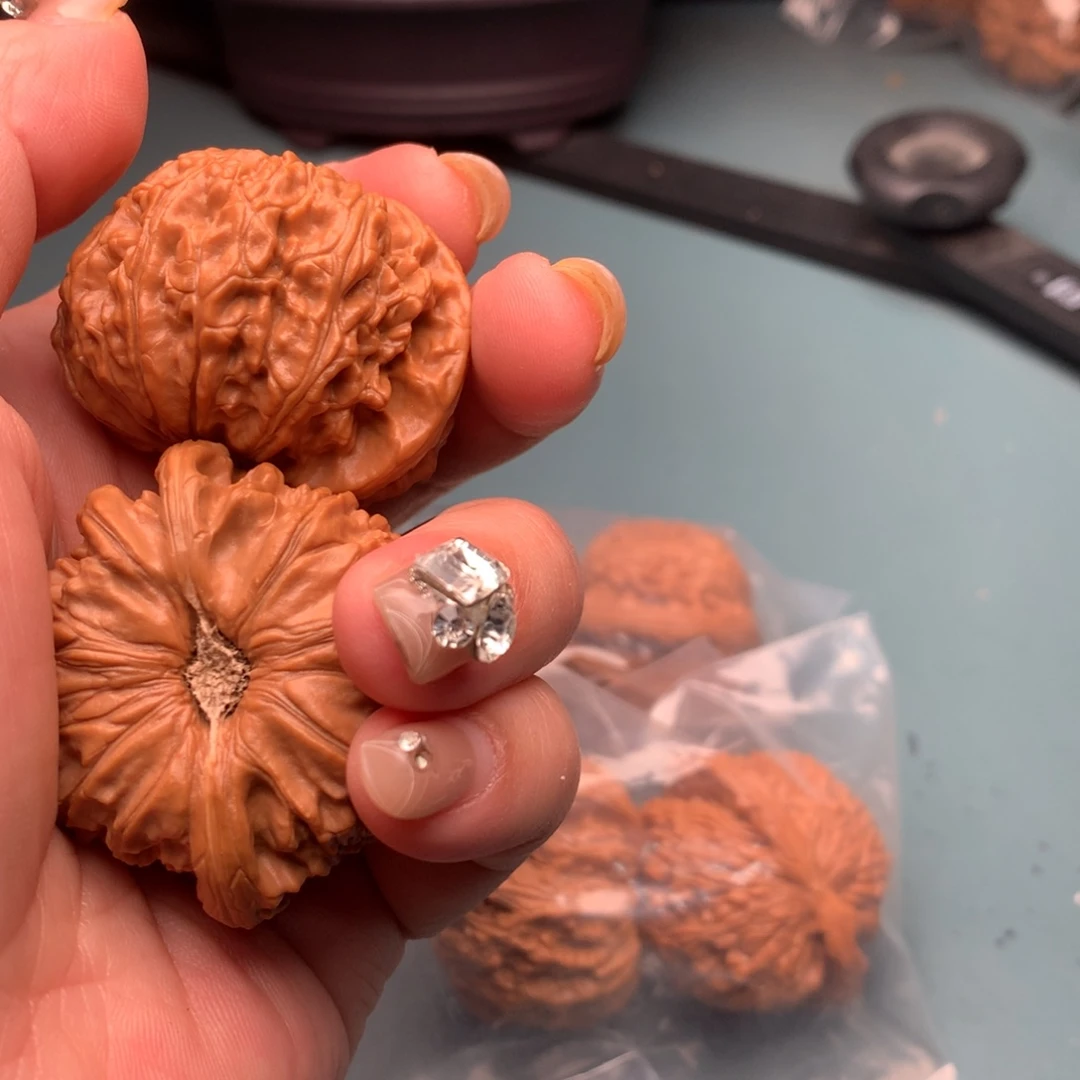 文玩核桃把件白狮子4647