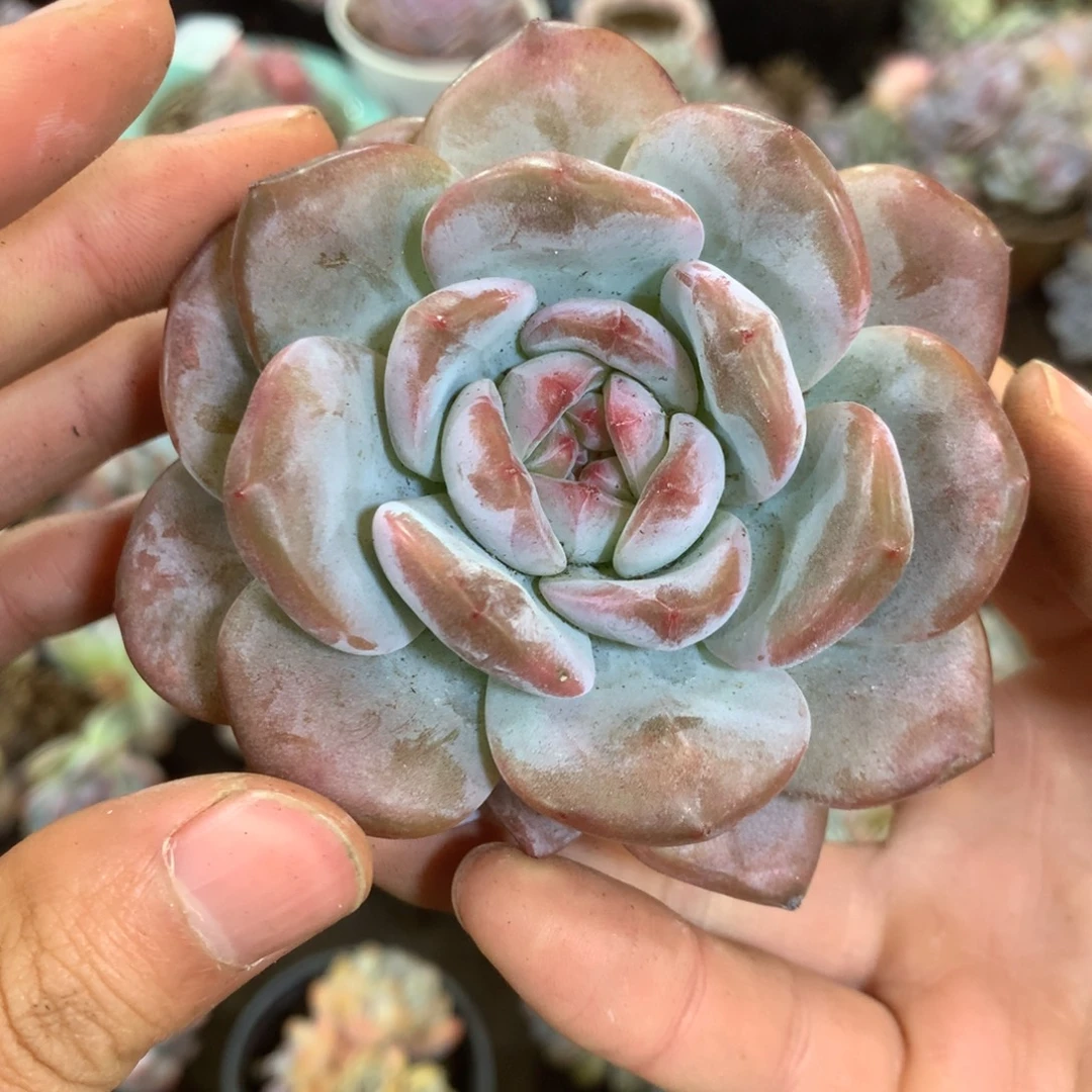 哈哈哈哈哈哈哈哈哈哈
