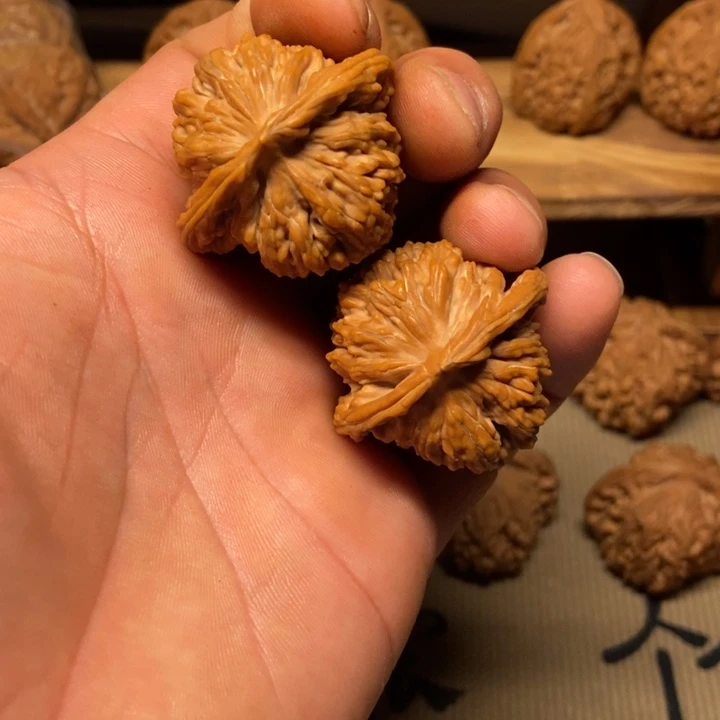 ****y核桃四座楼。。。。。。。。。。