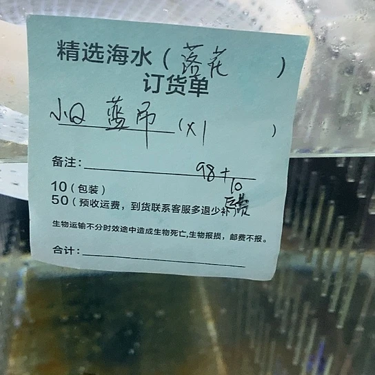 海水鱼小蓝吊 颗粒 4左右  ➕运费10
