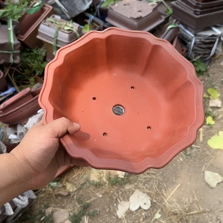 你是什么情况呀亲爱呢还是