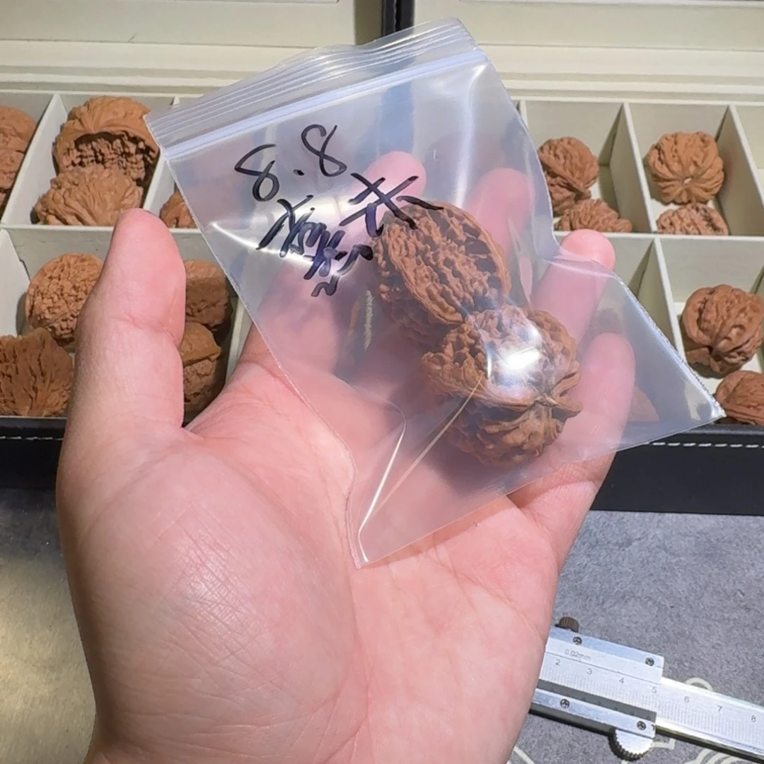 熹***y大叶紫檀（黑酸枝木类）