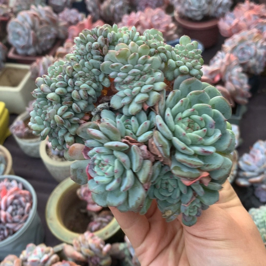 哈哈哈哈哈哈哈哈哈哈