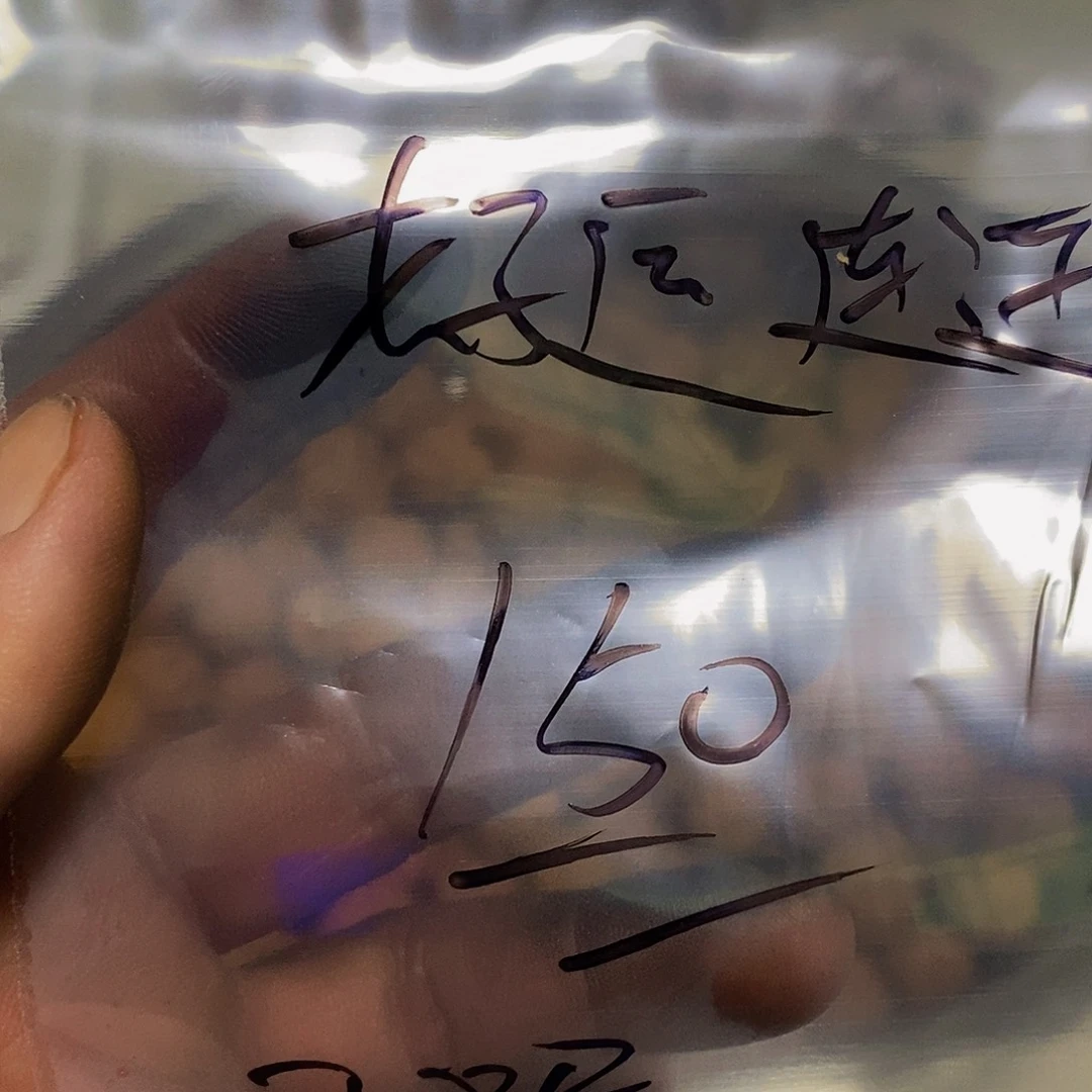 好***连文玩核桃吊坠霸王龙