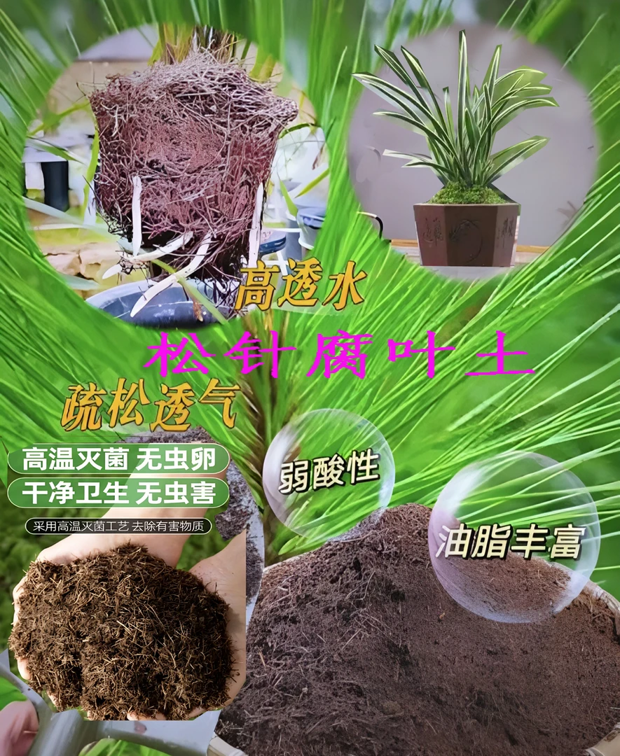 高温杀菌高品质自然腐熟纯松针腐叶土(无虫无虫卵）自产自销自用