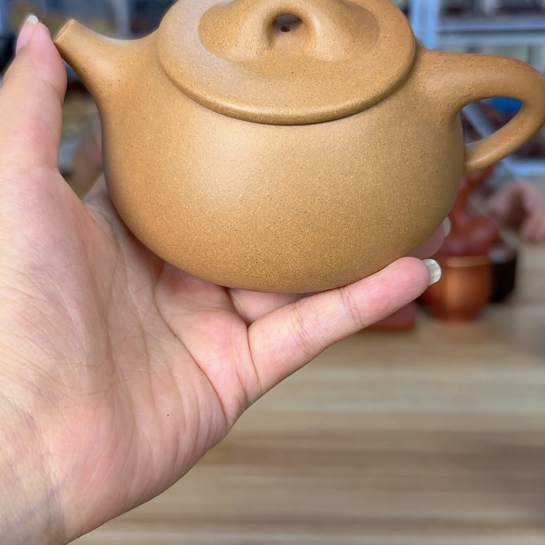 茶壶紫砂黄龙山原矿黄金段305